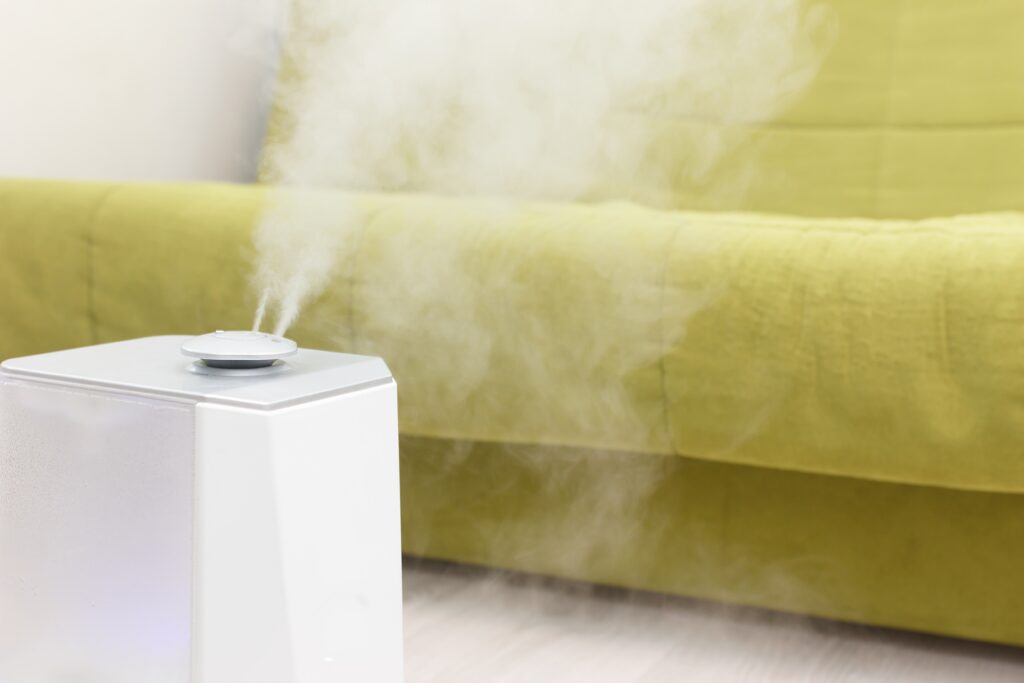 Optimizing Your Indoor Air Quality: Combatting Common Home Air Pollutants